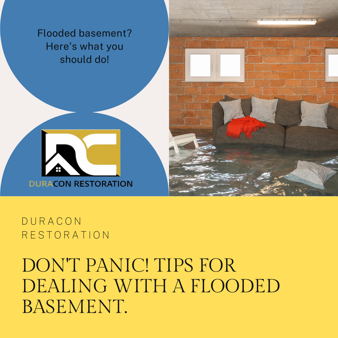What You Need to Know About Basement Water Removal and Restoration Services